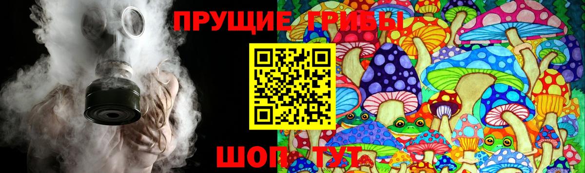 Псилоцибиновые грибы прущие грибы Новодвинск