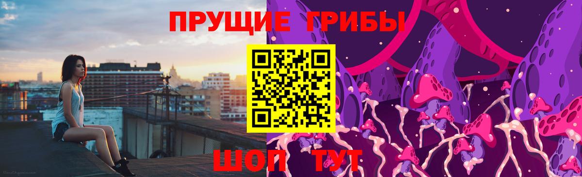 Новодвинск  Псилоцибиновые грибы MAGIC MUSHROOMS  Вход с VPN 
